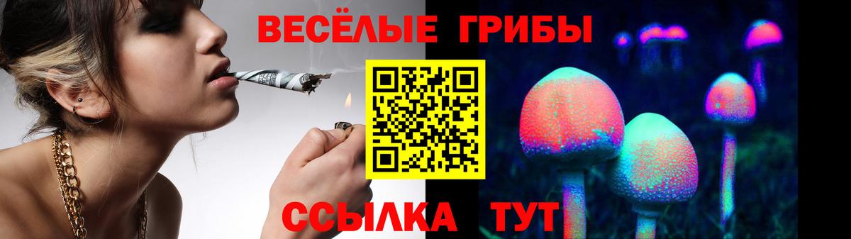 Галлюциногенные грибы ЛСД  дарнет шоп  Выкса  Вход с VPN  Псилоцибиновые грибы мицелий 